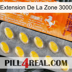 Exten Zone 3000 new05